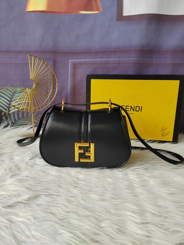 Fendi Handbags 124